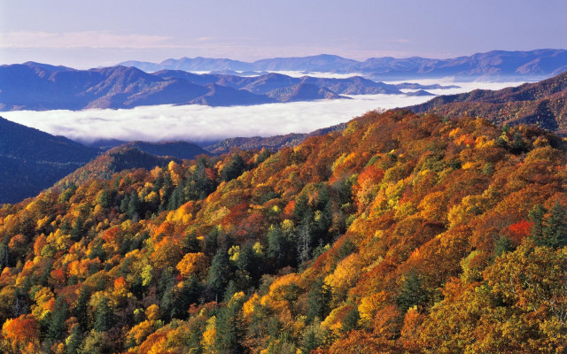 Mountain forest autumn clouds horizon free wallpaper - medium preview image