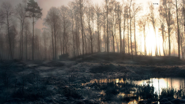 Forest pond trees background painting free wallpaper - medium preview image
