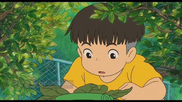 Boy looking green plant cartoon free wallpaper - medium preview image