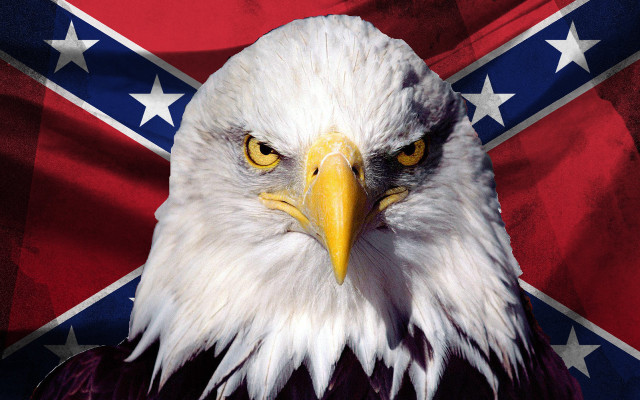 Bald eagle flag background head free wallpaper - medium preview image