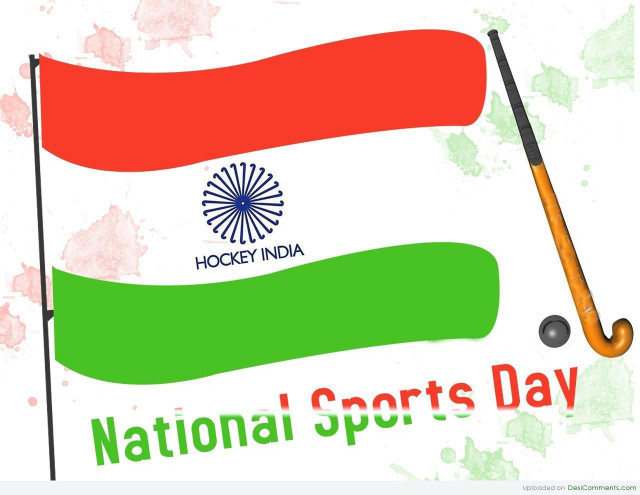National sports day poster flag free wallpaper - medium preview image