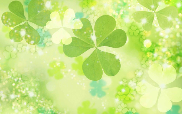 Green background four leaf clovers #2 free wallpaper - medium preview image