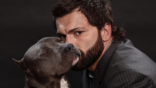 Bearded man kissing shiba inu free wallpaper - medium preview image