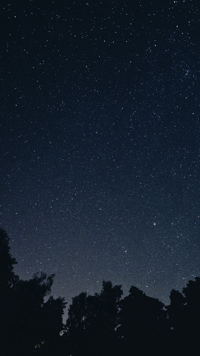 Night sky stars trees foreground #5 free wallpaper - medium preview image