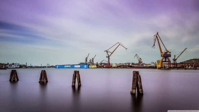 Cranes sitting water dock blue free wallpaper - medium preview image