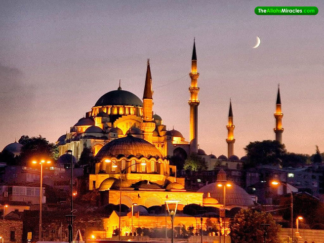 Large building crescent night lights free wallpaper - medium preview image