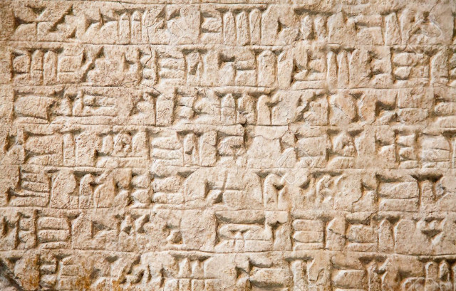 Stone wall writing bird sitting free wallpaper - medium preview image