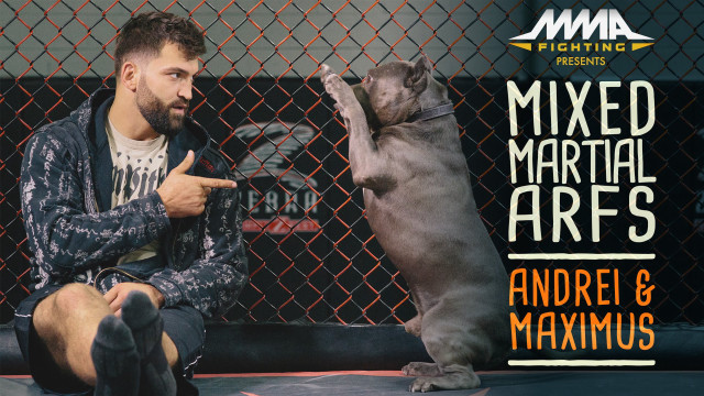 Man sitting ground dog pointing free wallpaper - medium preview image