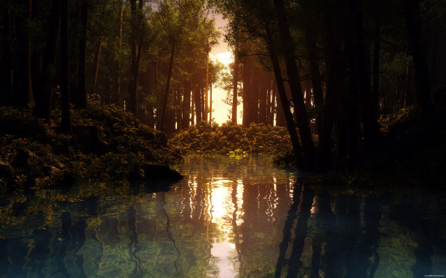 Lake trees forest sun reflection free wallpaper - medium preview image