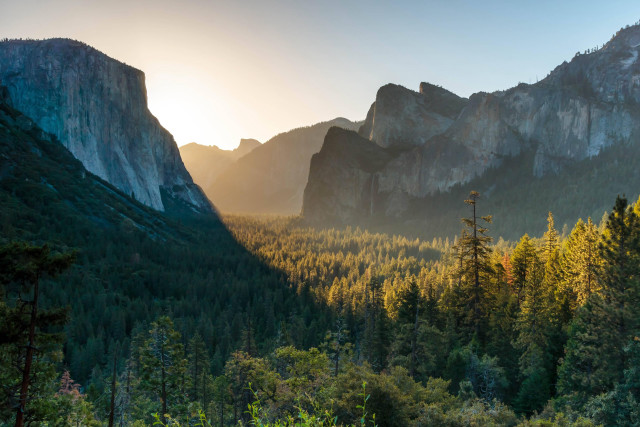 Mountain range forest sunset trees free wallpaper - medium preview image