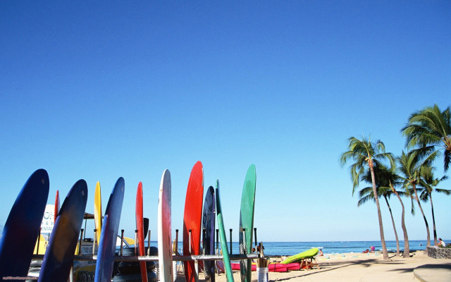 Surfboards beach ocean palmtrees tiltshift free wallpaper - medium preview image