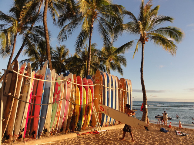Surfboards beach ocean palm trees free wallpaper - medium preview image