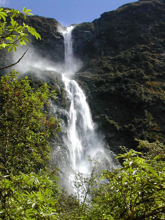 Waterfall through trees bushes foreground free wallpaper - medium preview image