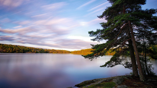 Lake trees forest blue sky free wallpaper - medium preview image