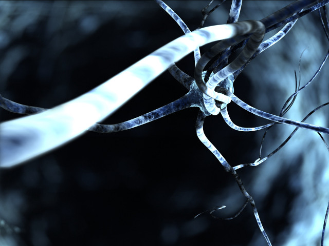 Tree branch blurry background white free wallpaper - medium preview image