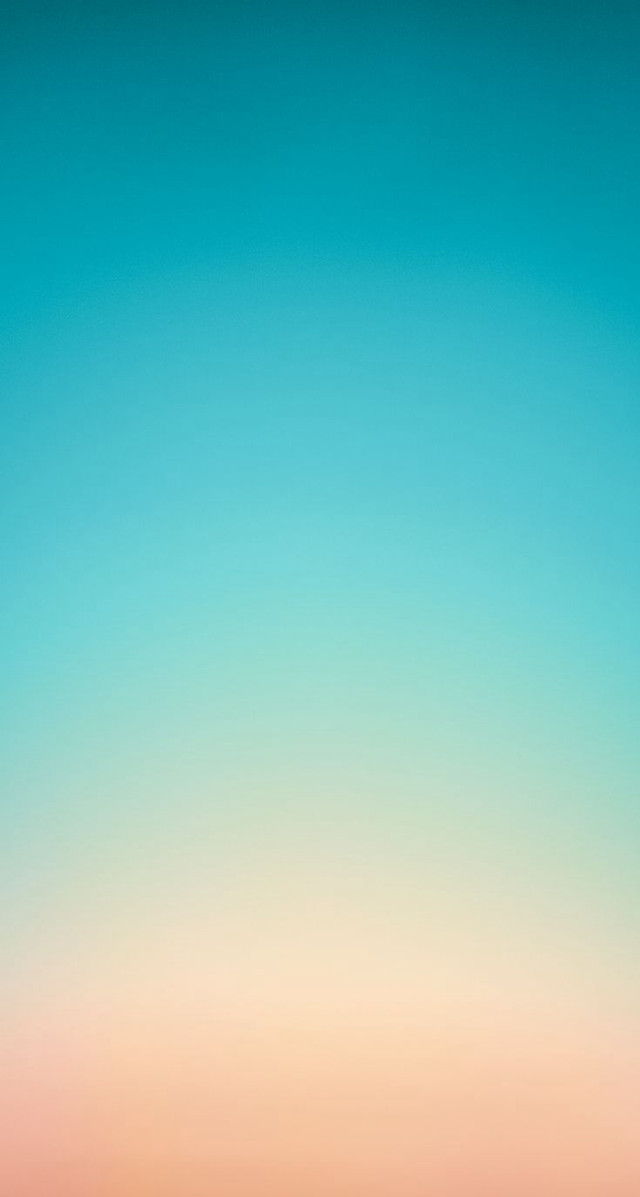 Sheep grass field forest trees free wallpaper - medium preview image