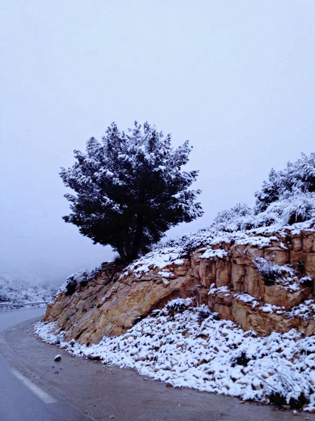 Snow covered road tree hill free wallpaper - medium preview image