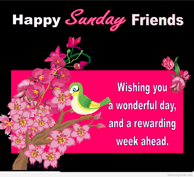 Happy sunday friend bird branch free wallpaper - medium preview image