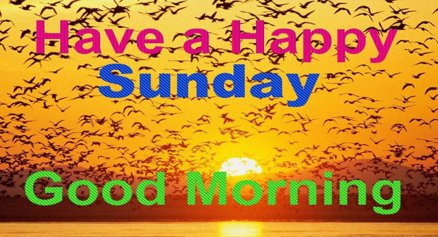 Sunset birds happy sunday good free wallpaper - medium preview image