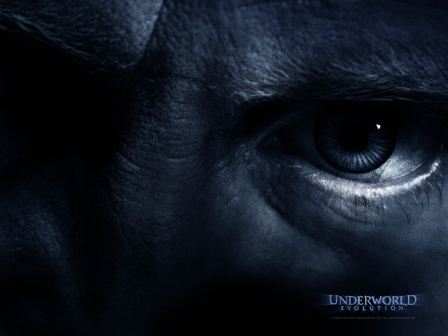 Close up eye underworld blue free wallpaper - medium preview image