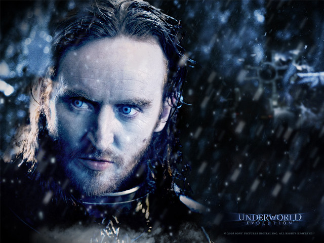 Man blue eyes beard snowy free wallpaper - medium preview image