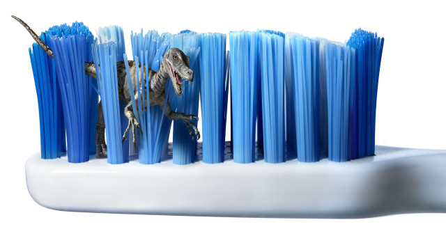 Toothbrush holder dinosaur blue toothbrushes free wallpaper - medium preview image