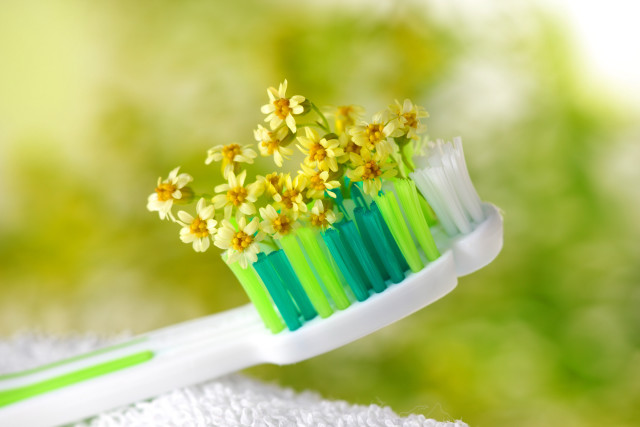 Toothbrush yellow flowers towel green free wallpaper - medium preview image
