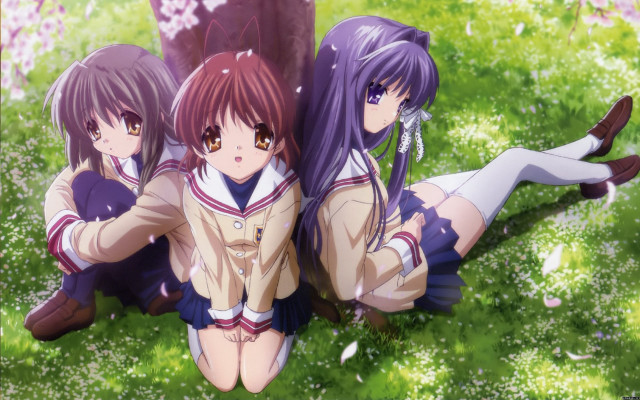 Three girls sitting grass crossed free wallpaper - medium preview image