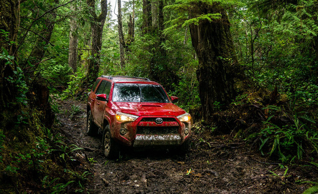 Red truck driving forest trail free wallpaper - medium preview image