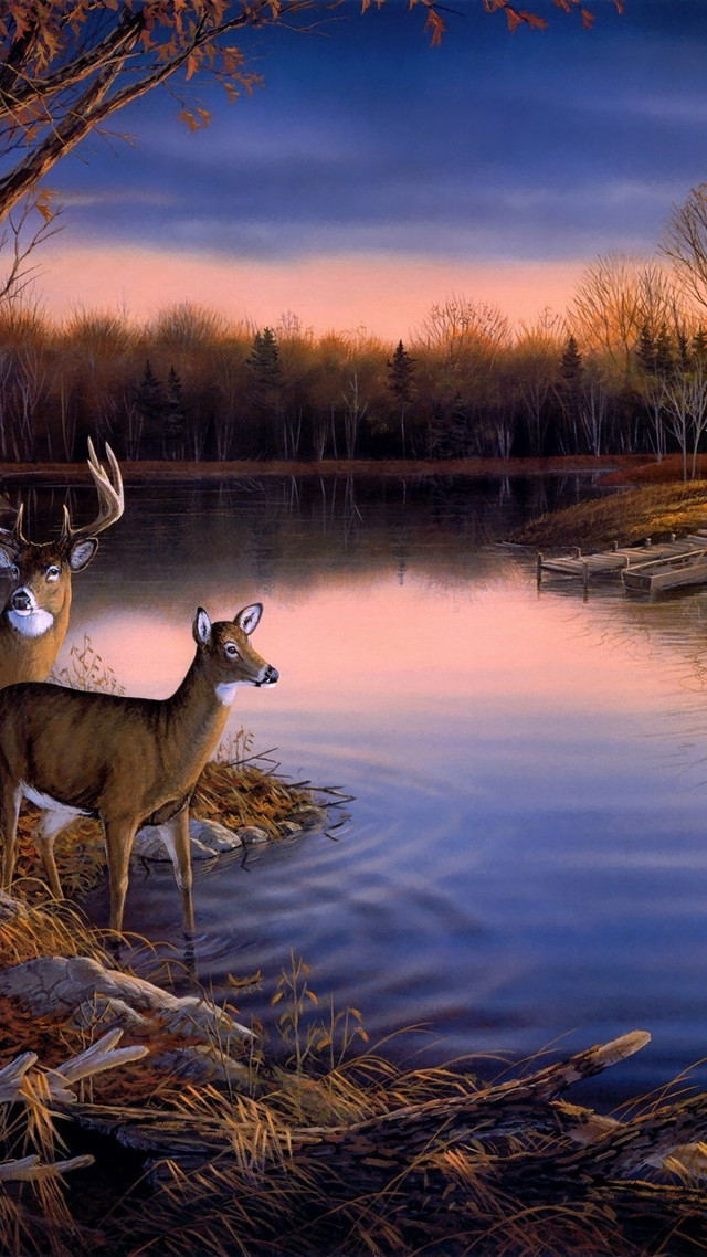 Deer water tree boat sunset free wallpaper - medium preview image