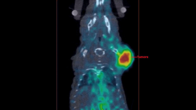 Radiograph hand red circle green free wallpaper - medium preview image