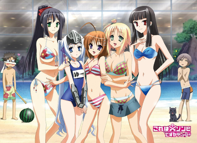 Women bathing suits beach cat free wallpaper - medium preview image
