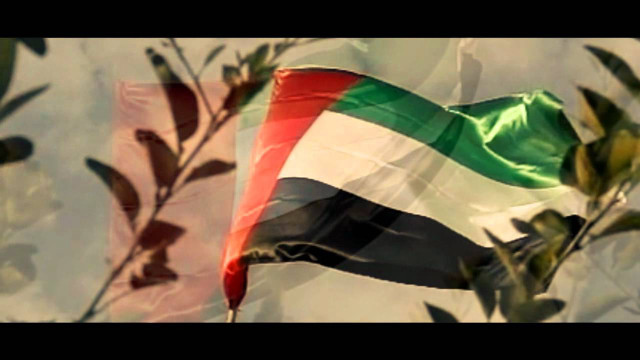 Flag flying tree branch cloudy free wallpaper - medium preview image