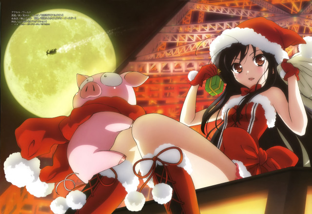 Woman santa hat stockings holding free wallpaper - medium preview image
