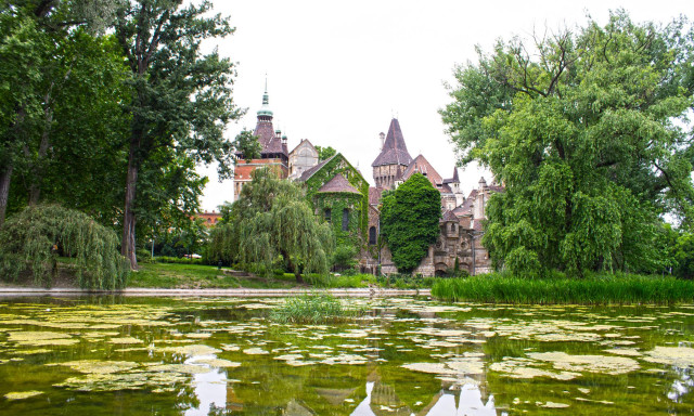 Castle pond trees swans water free wallpaper - medium preview image