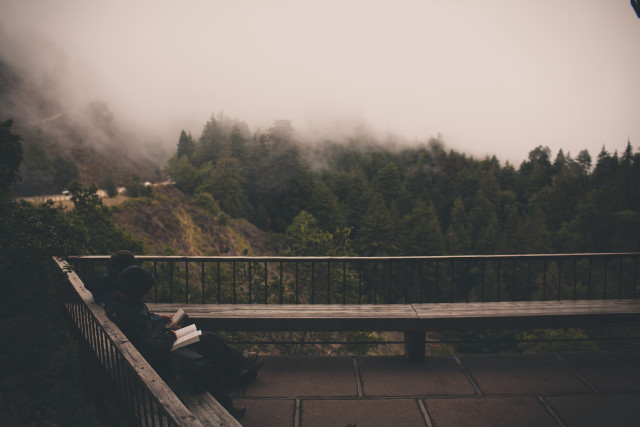 Person bench mountain view fog free wallpaper - medium preview image