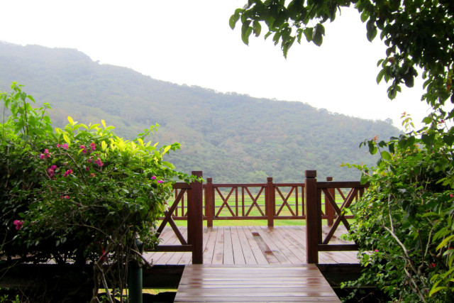 Wooden bridge mountain background flowers free wallpaper - medium preview image