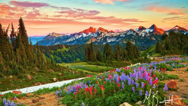 Mountain wildflowers stream sunset beautiful free wallpaper - medium preview image