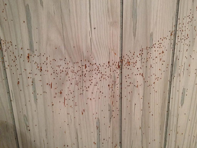 Bathroom toilet wooden redpaint blackseat free wallpaper - medium preview image