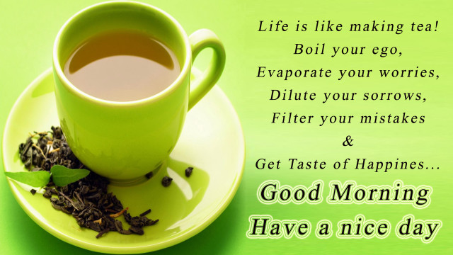 Cup tea green background good free wallpaper - medium preview image