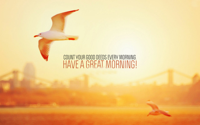 Bird water sunset quote morning free wallpaper - medium preview image