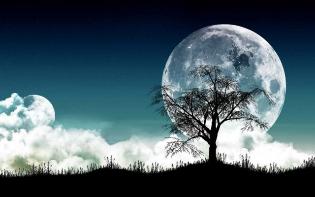 Tree field full moon clouds free wallpaper - medium preview image