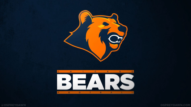 Bear head bears bear head free wallpaper for desktop - medium preview image