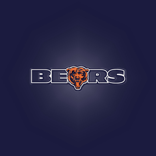 Bears logo dark blue background free wallpaper - medium preview image