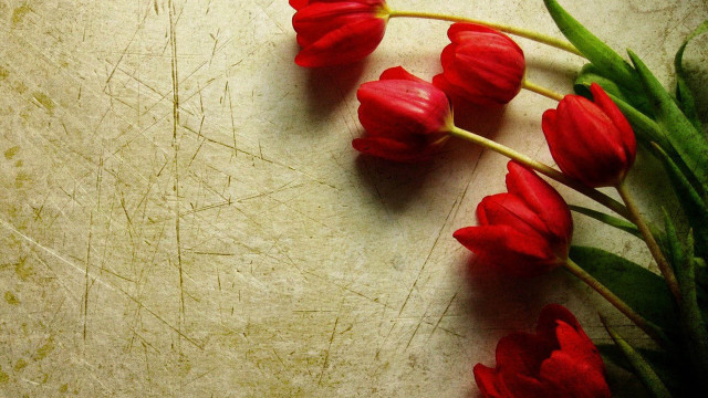 Red flowers white surface gothic free wallpaper - medium preview image