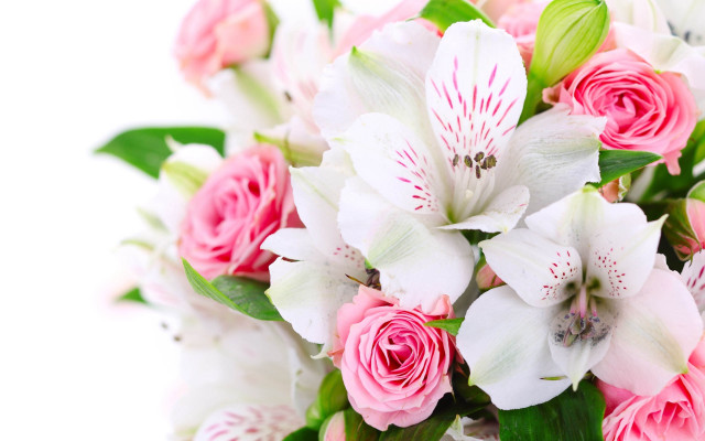 Bouquet pink white flowers centerpieces free wallpaper - medium preview image