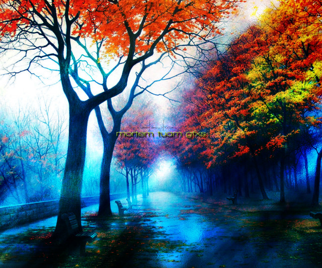 Park fall colors trees bench free wallpaper - medium preview image