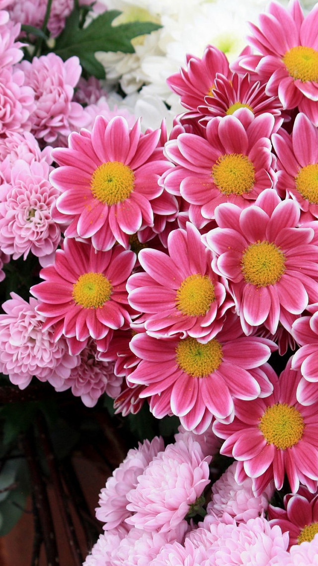 Pink white flowers vase table free wallpaper - medium preview image