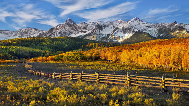 Fence field mountains trees yellow free wallpaper - medium preview image