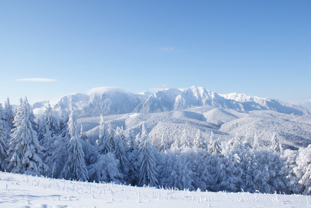 Snowy mountain trees sky clouds free wallpaper - medium preview image